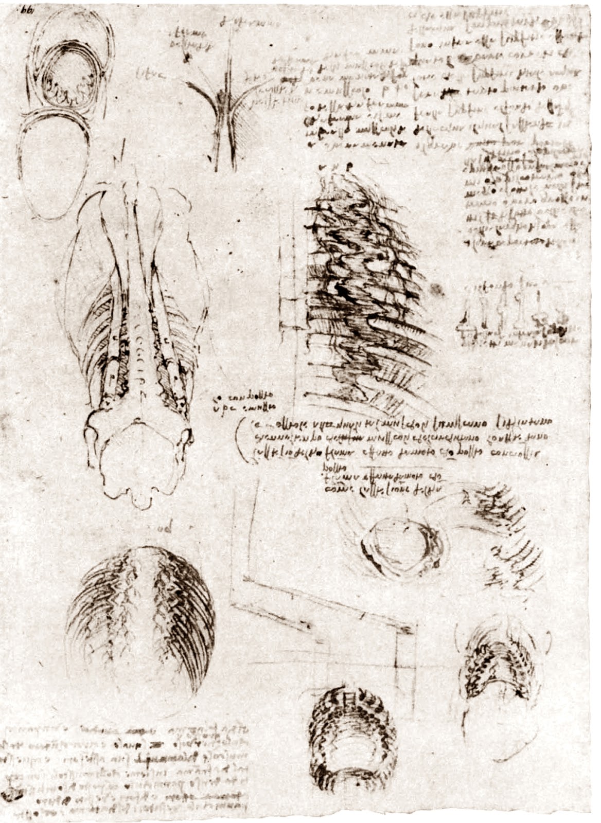 Leonardo+da+Vinci-1452-1519 (816).jpg